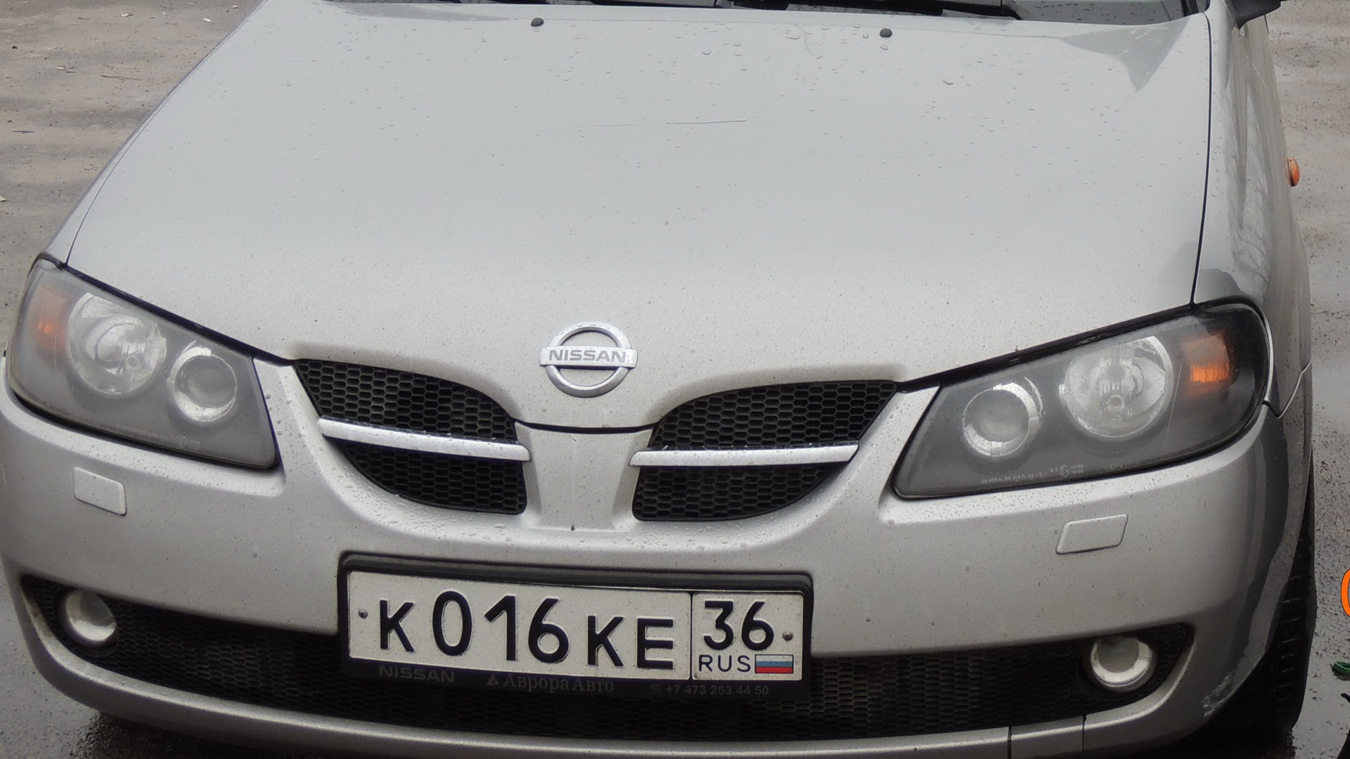 Nissan Almera II (N16) 1.8 бензиновый 2003 | 016 на DRIVE2