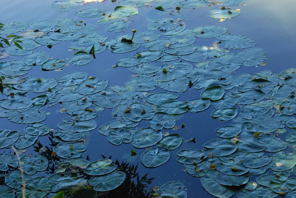 Путешествие июль 2008 года Тула на Ситроене Берлинго — ТагАЗ Road ...