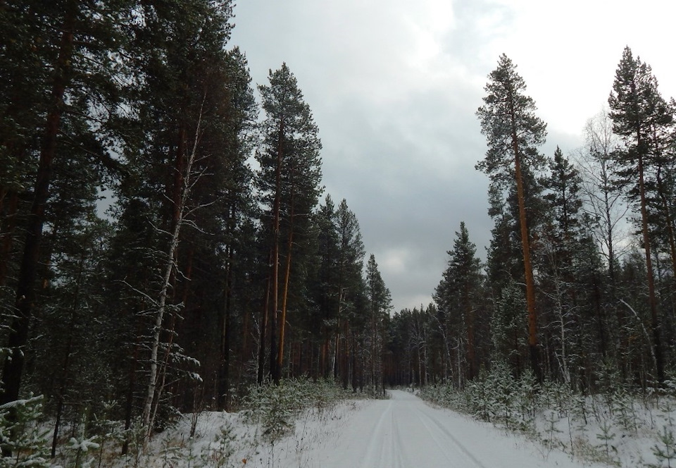 Фото в бортжурнале KIA Sportage (1G)