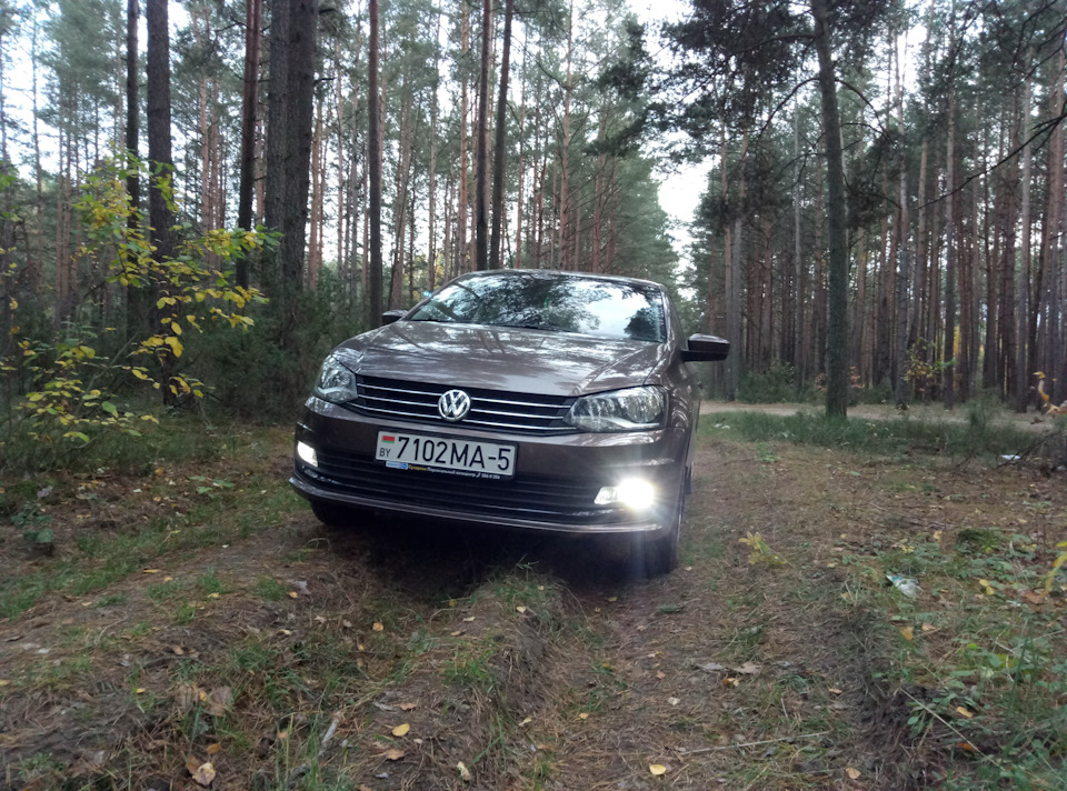 Osram LEDriving Premium. — Volkswagen Polo Sedan, 1,6 л, 2016 года ...