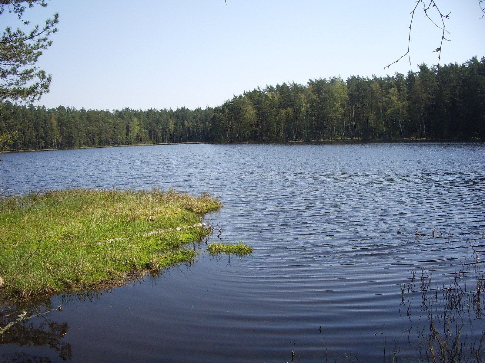 озеро в богородском