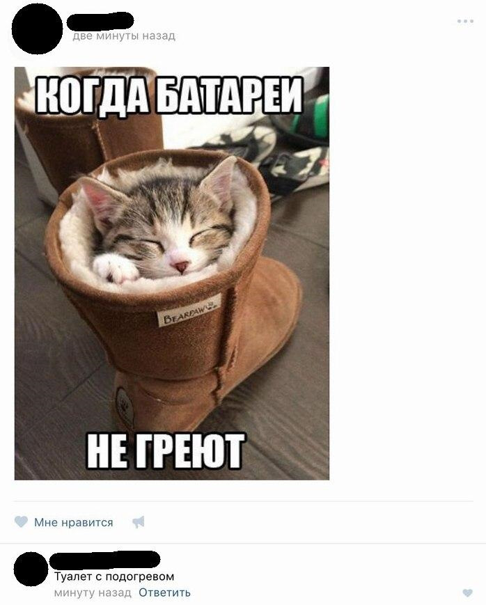 Смешные картинки с надписью до слез