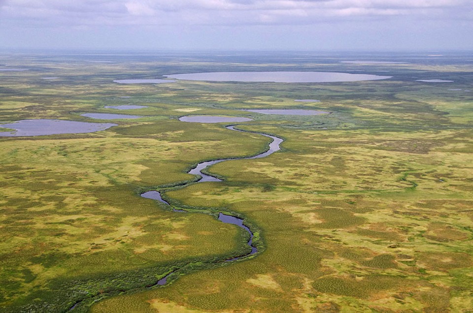 Какие крупные реки на западно сибирской равнине. Северо-Сибирская низменность реки. Тундра Западной Обь. Западно Сибирская равнина. Сибирь тундра.