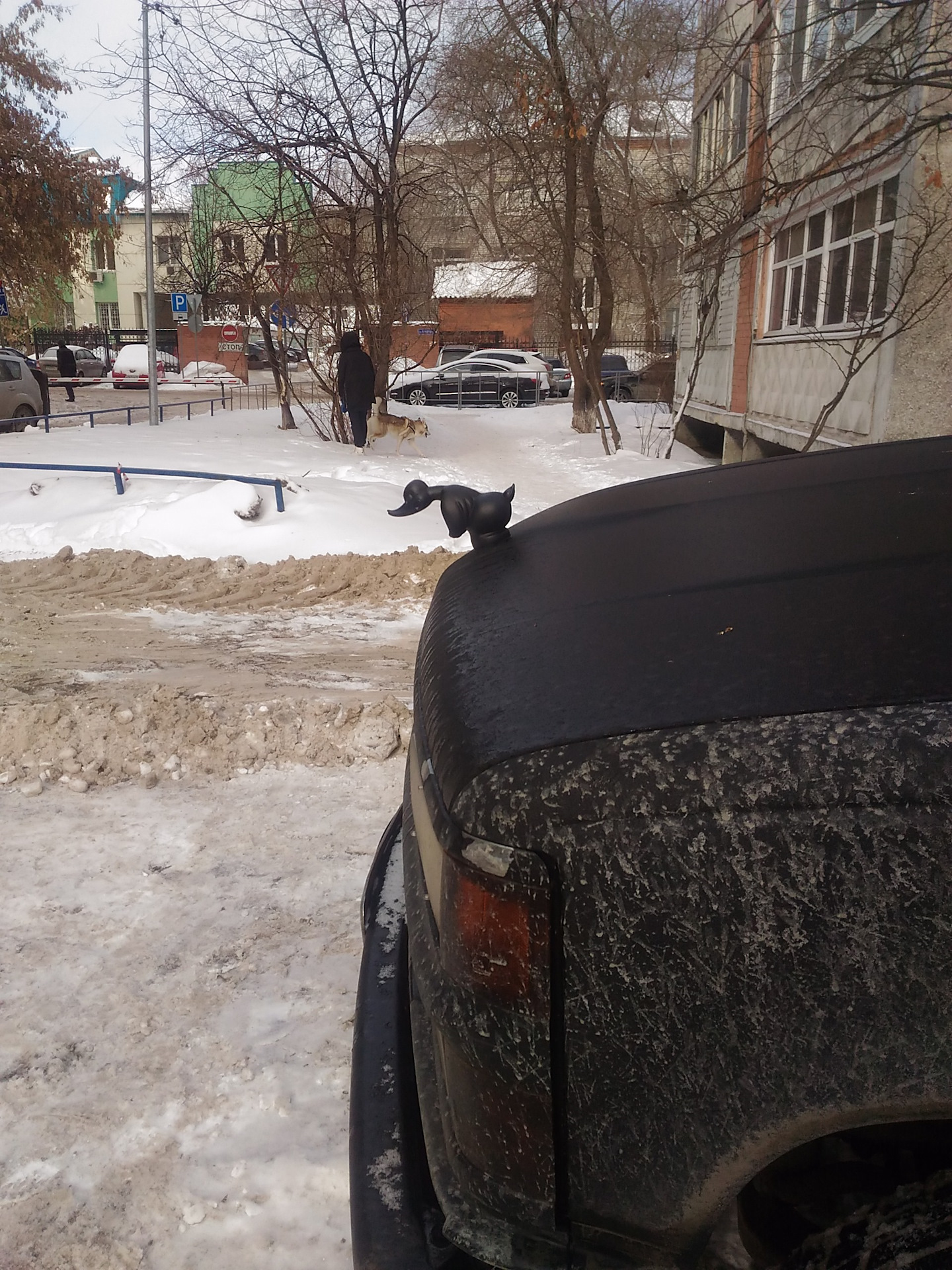Злая утка на капоте — Chevrolet Tahoe (GMT400), 5,7 л, 1997 года ...