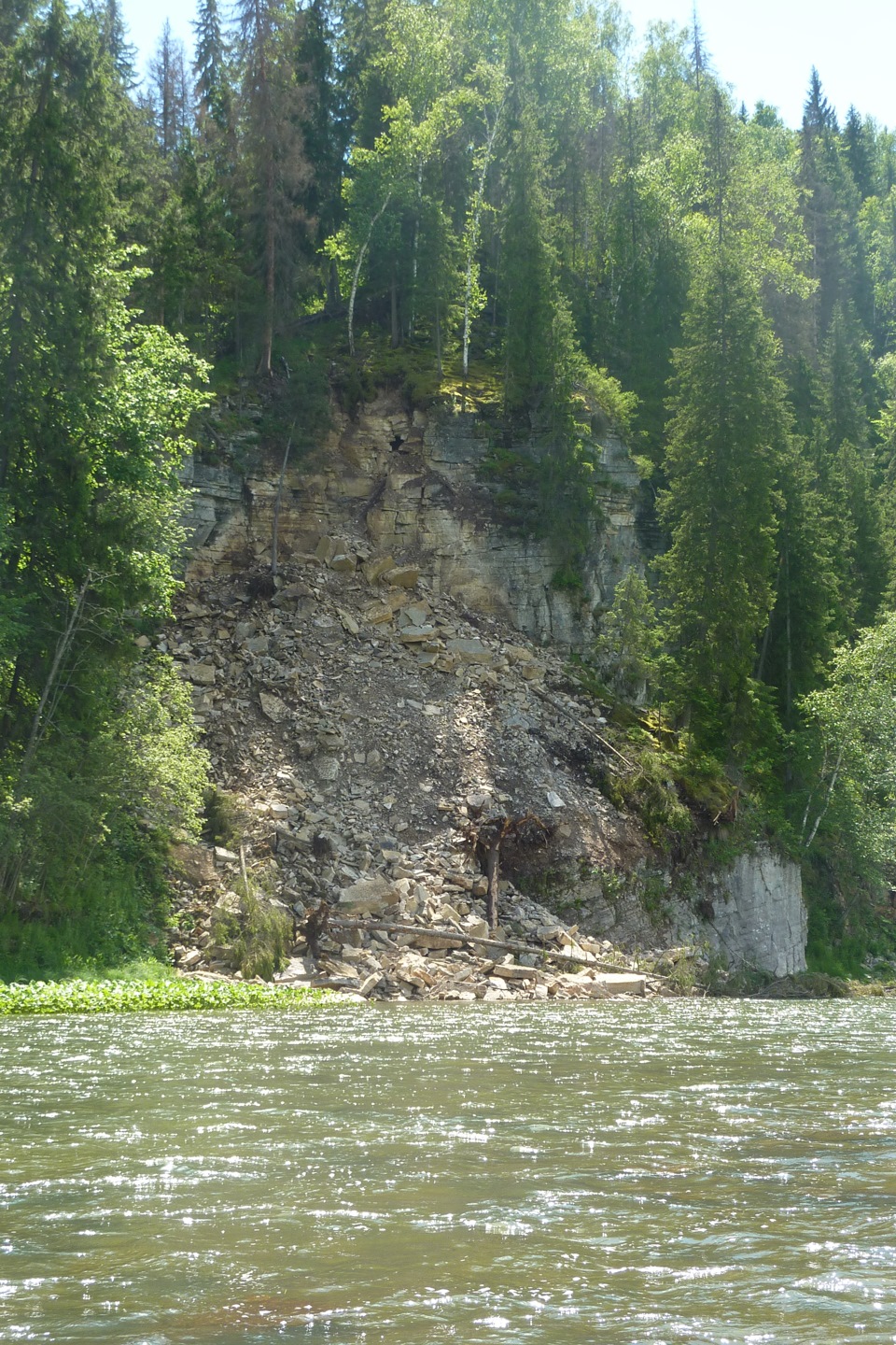 Красный зилим архангельский