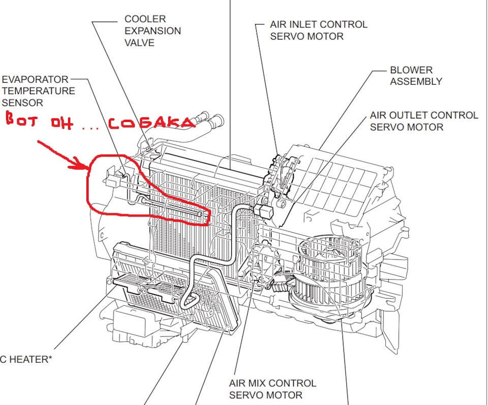 Фото в бортжурнале Toyota Prius (20)