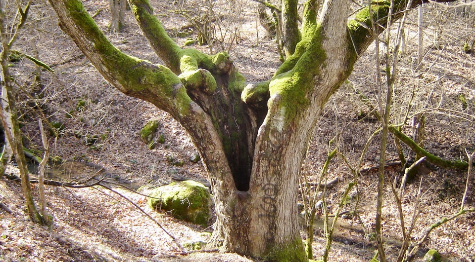 Фото в бортжурнале Volkswagen Polo Sedan
