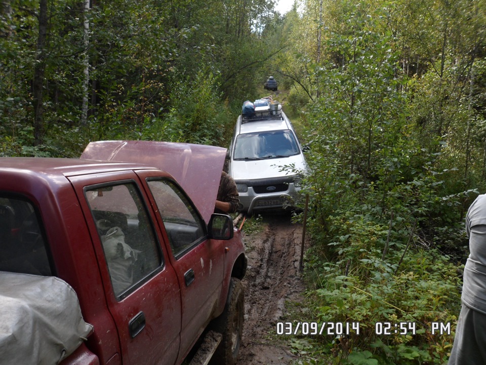 Форд Маверик — DRIVE2