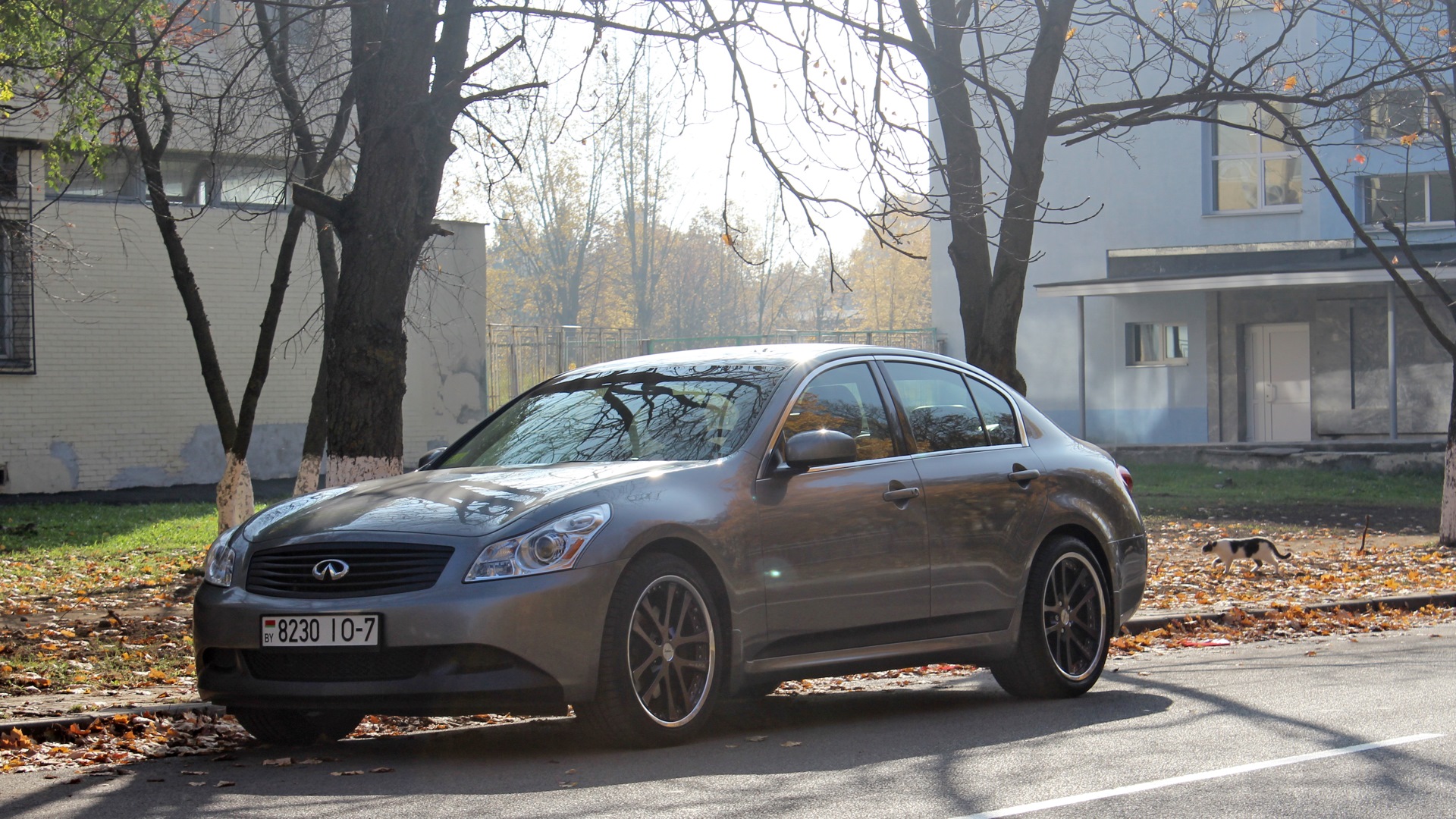 Infiniti G35 (V36) 3.5 бензиновый 2007 | S-line Manual Trance 6MT на DRIVE2