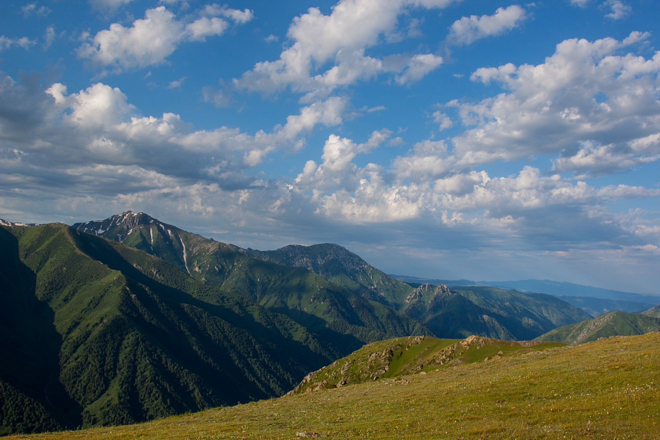 Джунгарский алатау фото