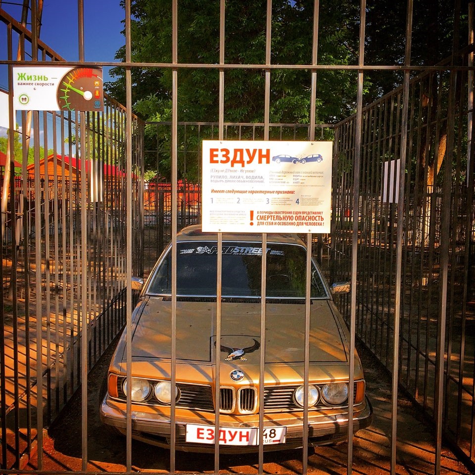 Зоопарк Липецк — Volkswagen Polo Sedan, 1,6 л, 2013 года | прикол | DRIVE2