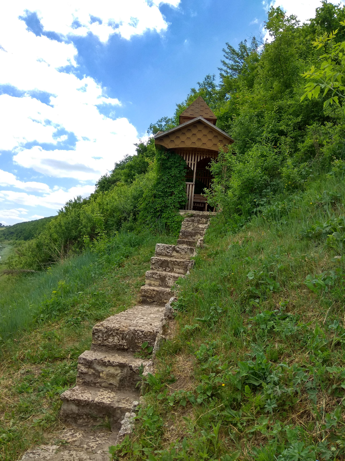 форест парк задонск