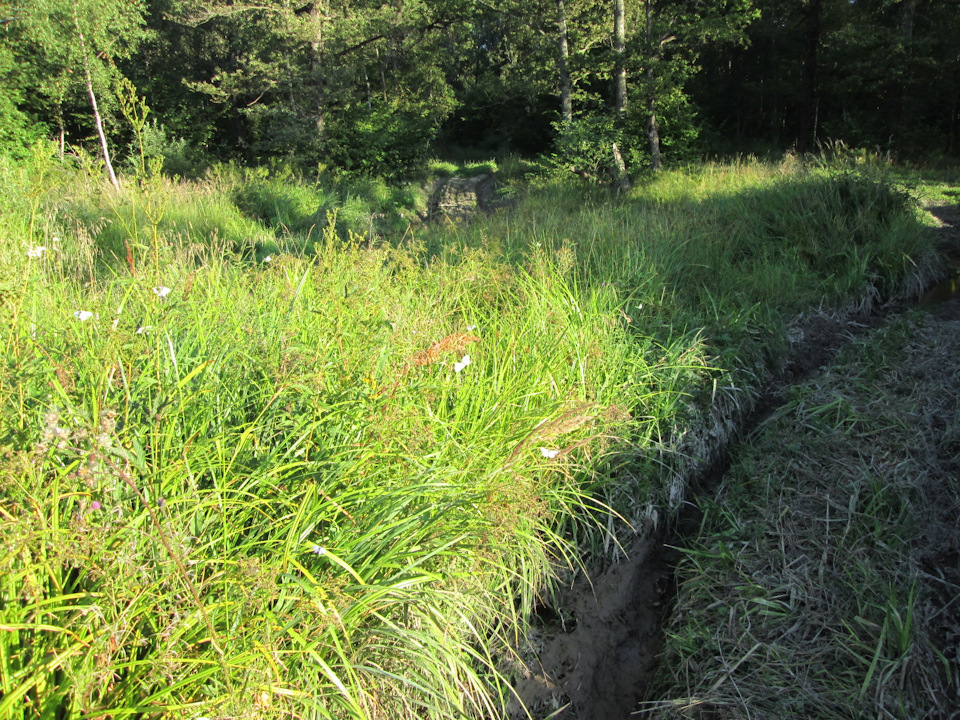 Фото в бортжурнале УАЗ 315195 Hunter