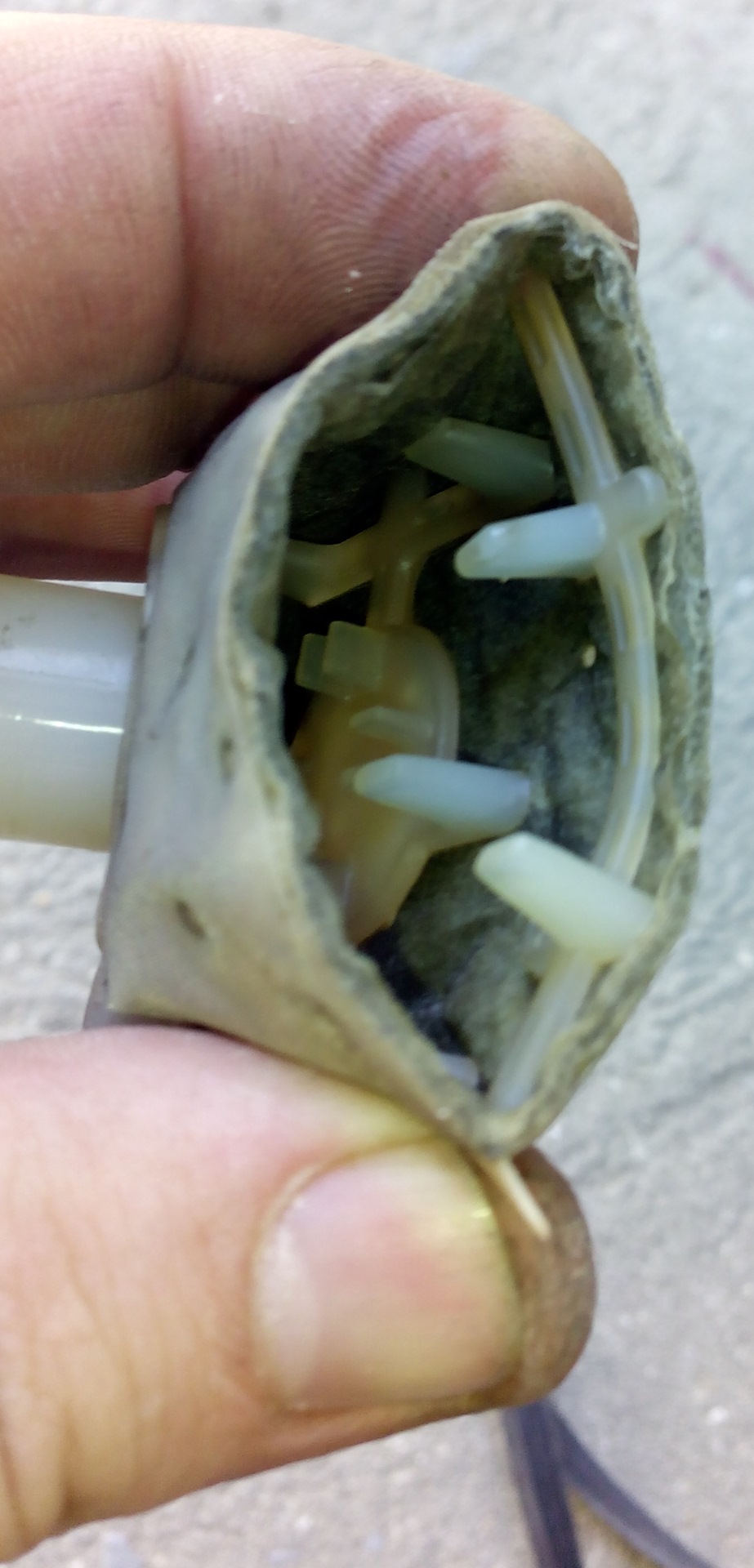 замена памперса — Daewoo Nexia (N150), 1,5 л, 2009 года | запчасти | DRIVE2