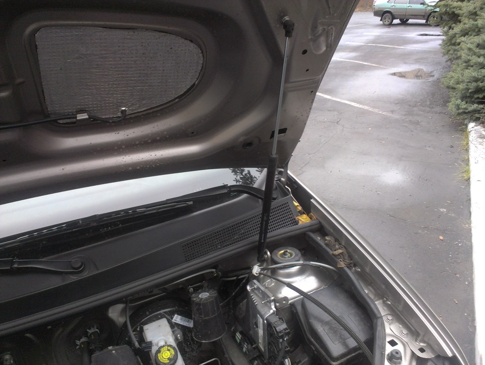 Уплотнительная резинка под капод — Renault Logan (2G), 1,2 л, 2013 года ...