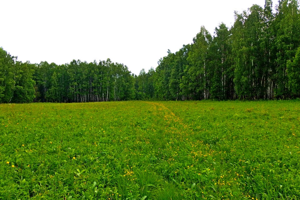 Исток реки урал. Исток Урала. Исток Урала фото. Исток реки Урал фото.