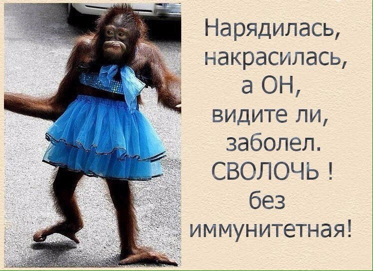 Картинка прикол обезьяна накрасилась сижу жду
