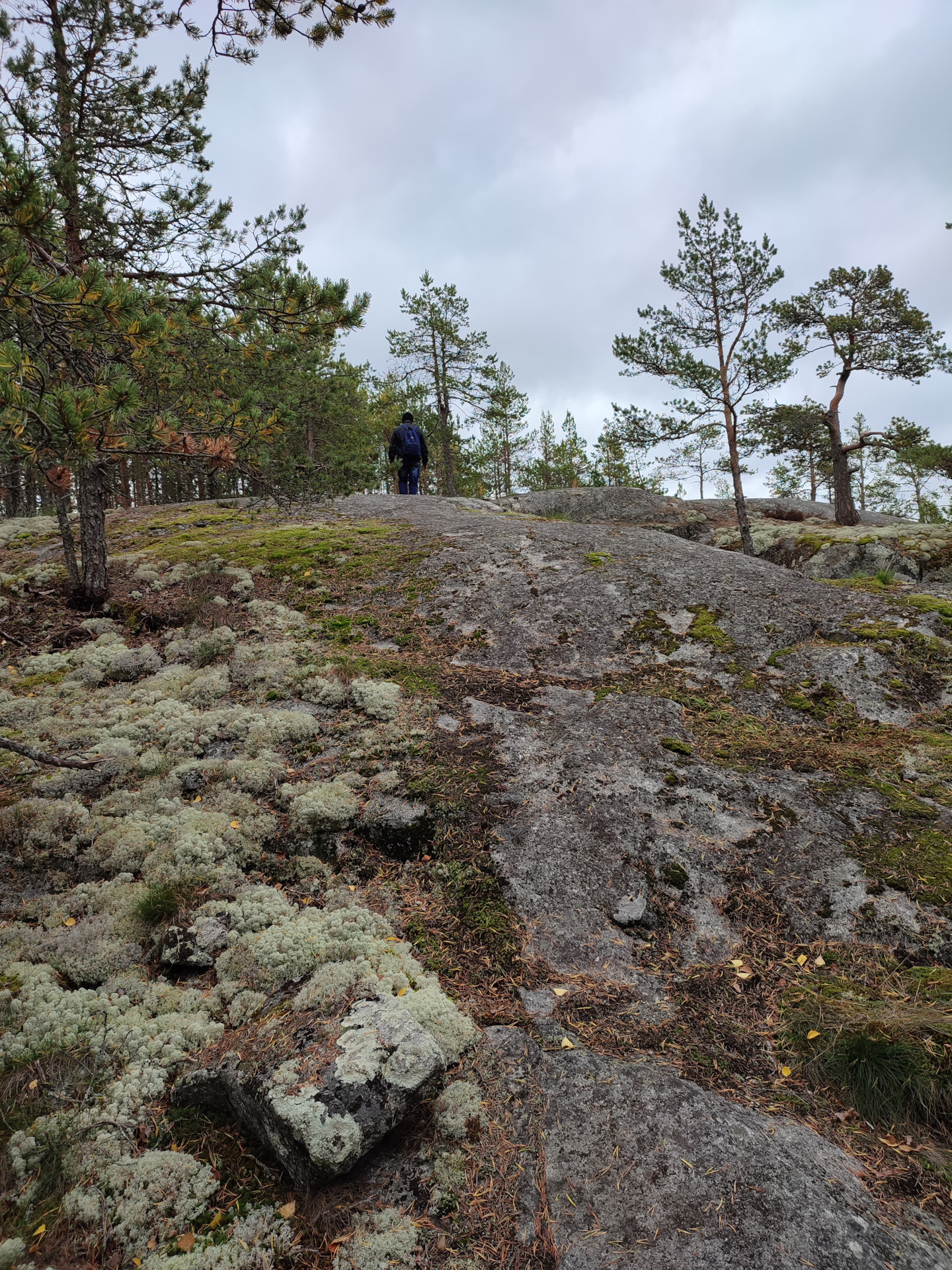 Леший тихвин. Гора лешего в карелии. Хийденсельга карелия гора. Гора лешего. Гора лешего.