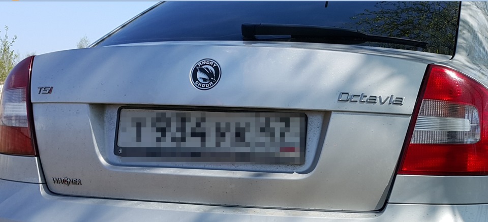 Еще немного кайфа и теперь я люблю ночь в СПб))) — Skoda Octavia A5 Mk2 ...