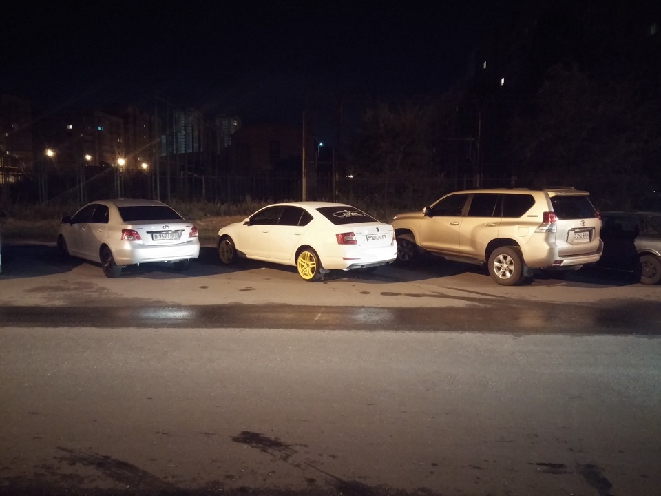 Фото в бортжурнале Skoda Octavia A7 Mk3