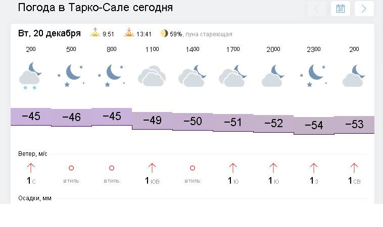 Погода в тарко сале рп5