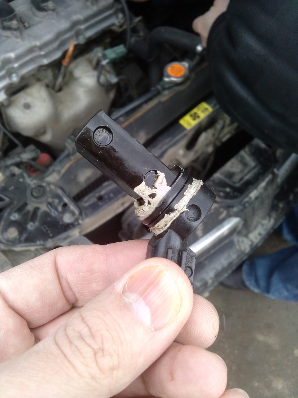 Фото в бортжурнале Nissan Almera II (N16)