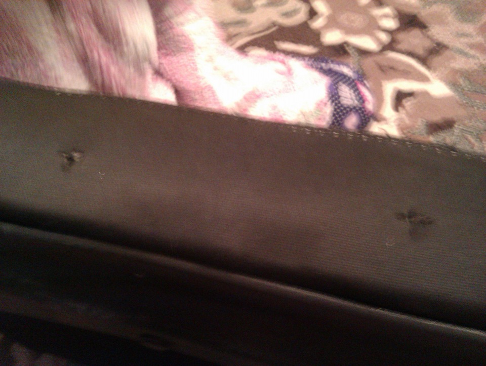 Фото в бортжурнале Chevrolet Niva