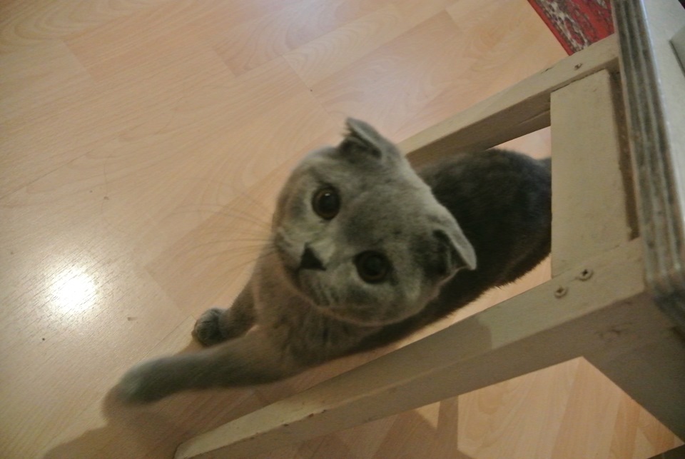 Сижу в няньках) — DRIVE2