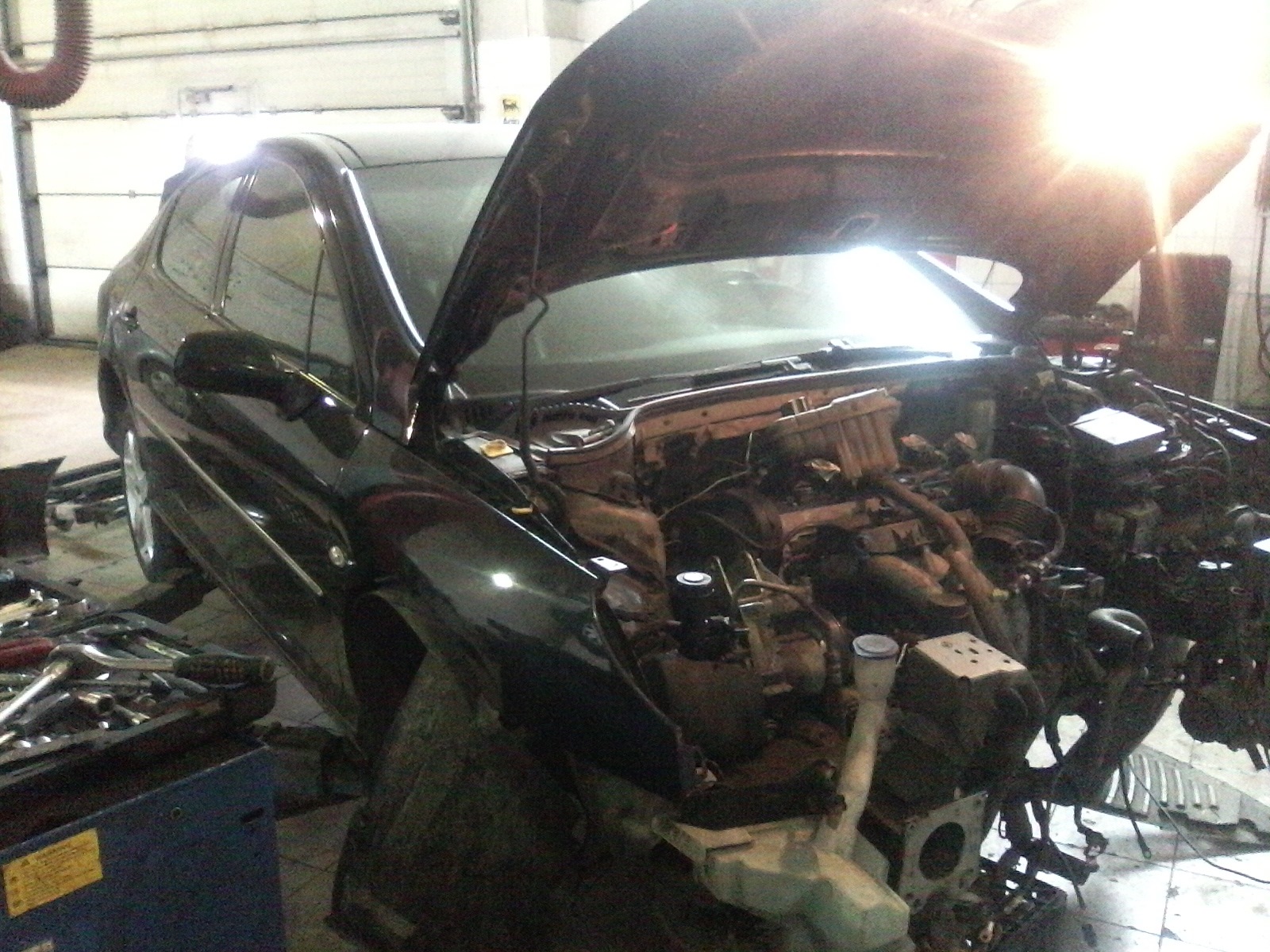 Ну вот, на первой недельке совместного проживания с моей малышкой 407 ...