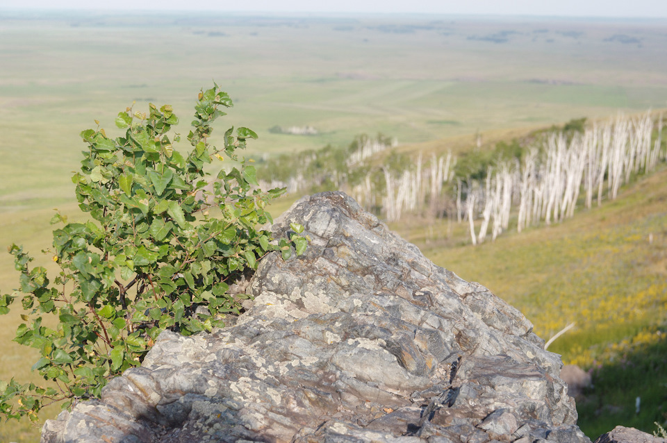 6de18f6s 960 гора чека аркаим что делать