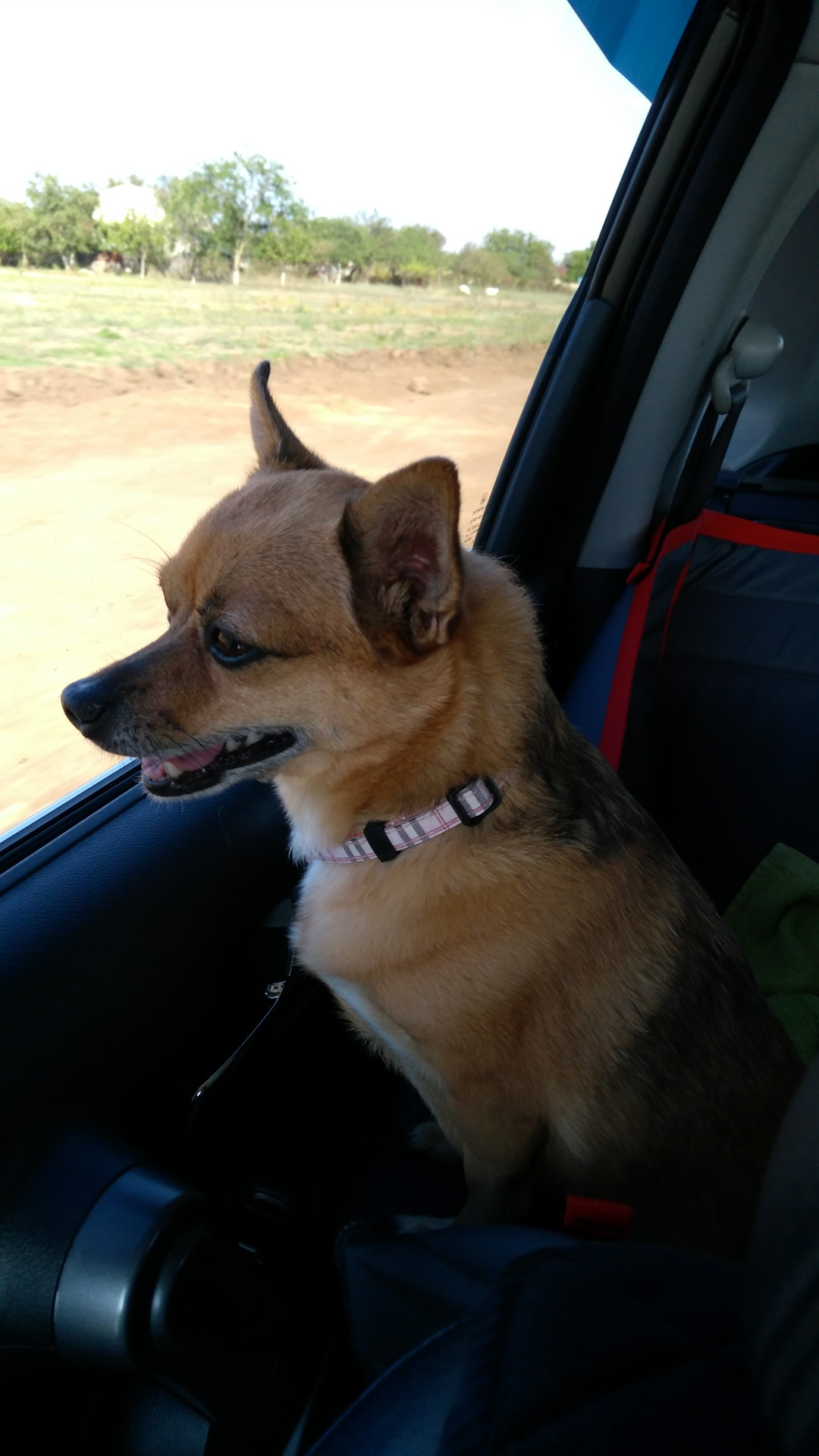 Перетяжка подлокотников дверей — DRIVE2