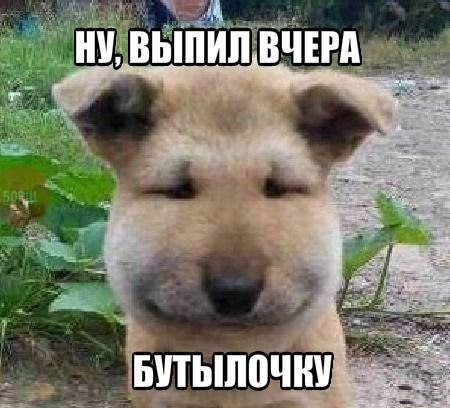 Мемы из соцсетей. Свежак за 18 декабря