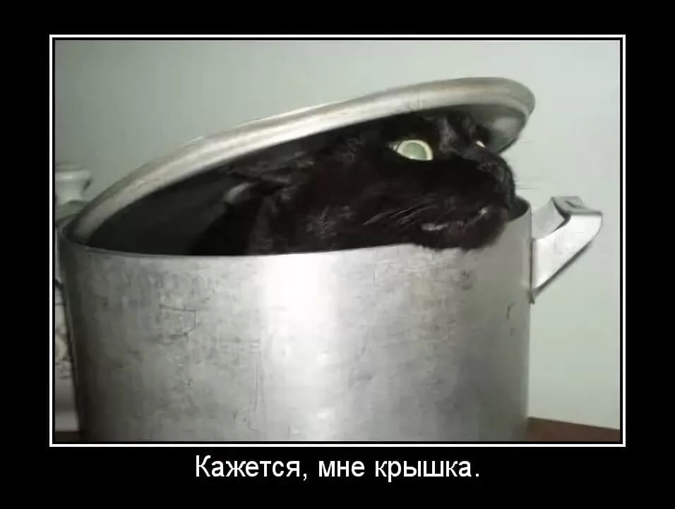 Коты раньше. Суп из кота. Кот с кастрюлей на голове. Мне крышка. Черный кот в кастрюле.