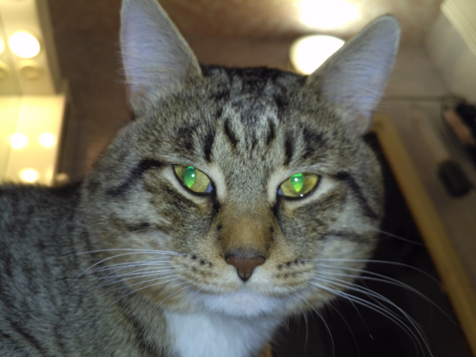 Фото в бортжурнале Volkswagen Passat B5