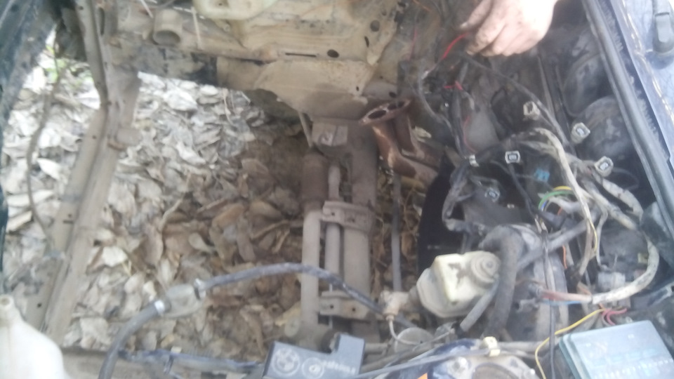 вытягивание кузова — BMW 3 series Coupe (E30), 1,8 л., 1984 года ...