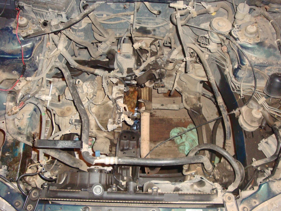 проводка аккорд 7