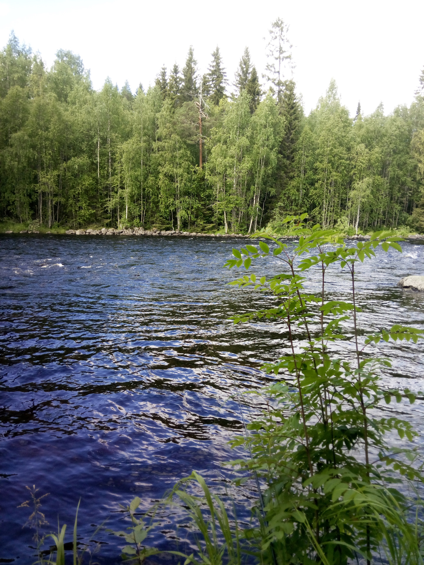 Реболы карелия. Миткр Карелия август. Карелия в августе фото. Фото Карелии в августе-сентябре. Республика Карелия в августе отдых.