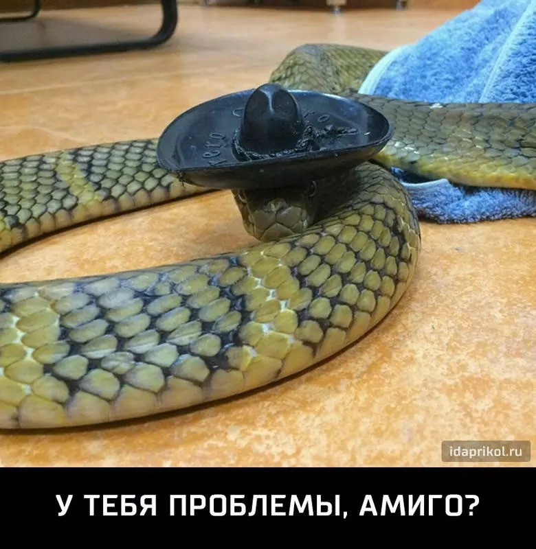 Перфекта шампунь для авто. Смотреть фото Перфекта шампунь для авто. Смотреть картинку Перфекта шампунь для авто. Картинка про Перфекта шампунь для авто. Фото Перфекта шампунь для авто