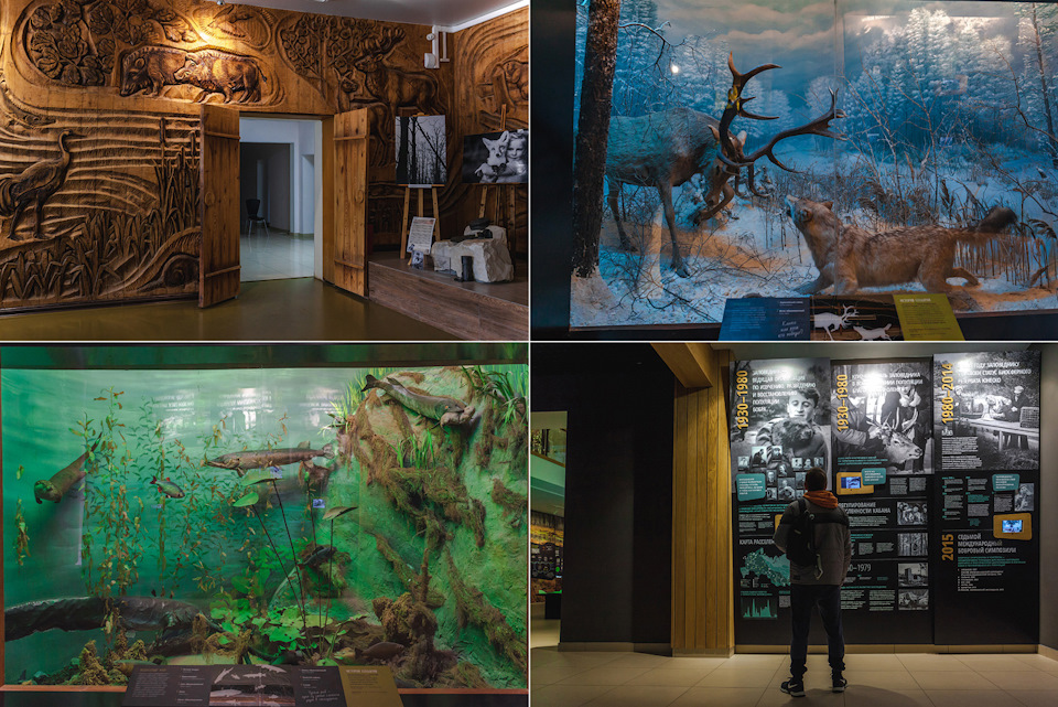 воронежский заповедник история создания. 6e99945s 960. воронежский заповедник история создания фото. воронежский заповедник история создания-6e99945s 960. картинка воронежский заповедник история создания. картинка 6e99945s 960. Липецкая и Воронежская области воронежский заповедник история создания. 6e99945s 960. воронежский заповедник история создания фото. воронежский заповедник история создания-6e99945s 960. картинка воронежский заповедник история создания. картинка 6e99945s 960. Липецкая и Воронежская области