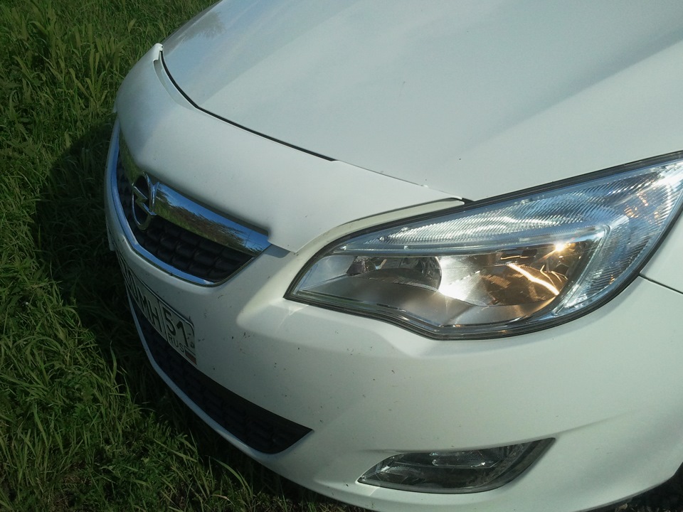 Мухобойник в белом цвете — Opel Astra J, 1,6 л, 2012 года | стайлинг ...
