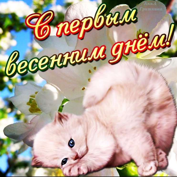 Открытки с днем кошек и первым днем весны