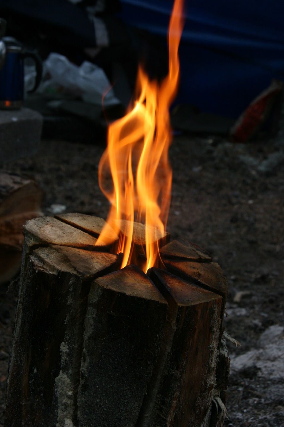 Днепопедная рыбалка! — Сообщество «Особенности Oхоты» на DRIVE2