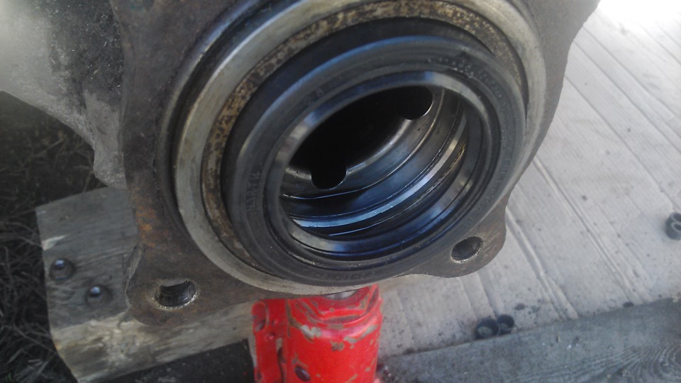 Фото в бортжурнале Great Wall Deer