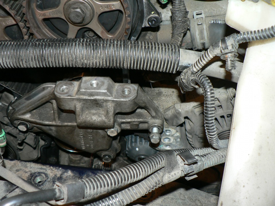 ΠΊΠ°ΠΊΠ°Ρ ΡΠ΅Π·ΡΠ±Π° Π±ΠΎΠ»ΡΠ° ΡΠΊΠΈΠ²Π° ΠΊΠΎΠ»Π΅Π½Π²Π°Π»Π°. Π‘ΠΌΠΎΡΡΠ΅ΡΡ ΡΠΎΡΠΎ ΠΊΠ°ΠΊΠ°Ρ ΡΠ΅Π·ΡΠ±Π° Π±ΠΎΠ»ΡΠ° ΡΠΊΠΈΠ²Π° ΠΊΠΎΠ»Π΅Π½Π²Π°Π»Π°. Π‘ΠΌΠΎΡΡΠ΅ΡΡ ΠΊΠ°ΡΡΠΈΠ½ΠΊΡ ΠΊΠ°ΠΊΠ°Ρ ΡΠ΅Π·ΡΠ±Π° Π±ΠΎΠ»ΡΠ° ΡΠΊΠΈΠ²Π° ΠΊΠΎΠ»Π΅Π½Π²Π°Π»Π°. ΠΠ°ΡΡΠΈΠ½ΠΊΠ° ΠΏΡΠΎ ΠΊΠ°ΠΊΠ°Ρ ΡΠ΅Π·ΡΠ±Π° Π±ΠΎΠ»ΡΠ° ΡΠΊΠΈΠ²Π° ΠΊΠΎΠ»Π΅Π½Π²Π°Π»Π°. Π€ΠΎΡΠΎ ΠΊΠ°ΠΊΠ°Ρ ΡΠ΅Π·ΡΠ±Π° Π±ΠΎΠ»ΡΠ° ΡΠΊΠΈΠ²Π° ΠΊΠΎΠ»Π΅Π½Π²Π°Π»Π° ΠΊΠ°ΠΊΠ°Ρ ΡΠ΅Π·ΡΠ±Π° Π±ΠΎΠ»ΡΠ° ΡΠΊΠΈΠ²Π° ΠΊΠΎΠ»Π΅Π½Π²Π°Π»Π°. Π‘ΠΌΠΎΡΡΠ΅ΡΡ ΡΠΎΡΠΎ ΠΊΠ°ΠΊΠ°Ρ ΡΠ΅Π·ΡΠ±Π° Π±ΠΎΠ»ΡΠ° ΡΠΊΠΈΠ²Π° ΠΊΠΎΠ»Π΅Π½Π²Π°Π»Π°. Π‘ΠΌΠΎΡΡΠ΅ΡΡ ΠΊΠ°ΡΡΠΈΠ½ΠΊΡ ΠΊΠ°ΠΊΠ°Ρ ΡΠ΅Π·ΡΠ±Π° Π±ΠΎΠ»ΡΠ° ΡΠΊΠΈΠ²Π° ΠΊΠΎΠ»Π΅Π½Π²Π°Π»Π°. ΠΠ°ΡΡΠΈΠ½ΠΊΠ° ΠΏΡΠΎ ΠΊΠ°ΠΊΠ°Ρ ΡΠ΅Π·ΡΠ±Π° Π±ΠΎΠ»ΡΠ° ΡΠΊΠΈΠ²Π° ΠΊΠΎΠ»Π΅Π½Π²Π°Π»Π°. Π€ΠΎΡΠΎ ΠΊΠ°ΠΊΠ°Ρ ΡΠ΅Π·ΡΠ±Π° Π±ΠΎΠ»ΡΠ° ΡΠΊΠΈΠ²Π° ΠΊΠΎΠ»Π΅Π½Π²Π°Π»Π°