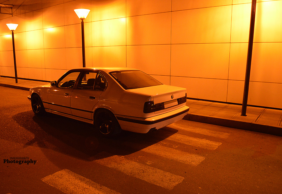 6f2cf99s-960.jpg