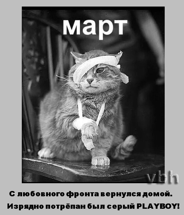 картинки я вернулся здравствуй мура отеле