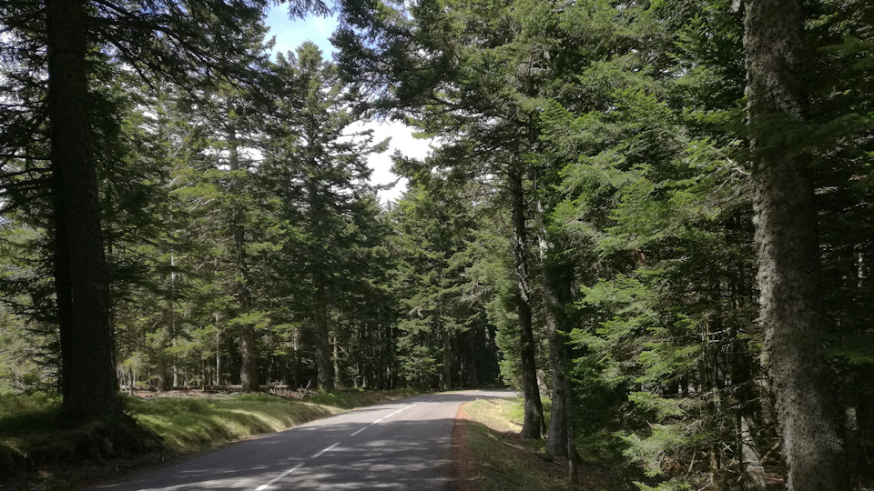 Все-таки езда на велике по этим дорогам дает совершенно иные впечатления. Чувствуется ветер, тень, солнце. Слышны все окружающие запахи. К тому же вокруг все такое четкое, разрешение 4К просто :) — Audi A4 (B9)