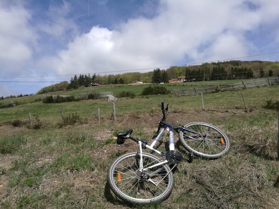 Небольшой привал, ибо выносливость не как в 18 лет. — Audi A4 (B9)