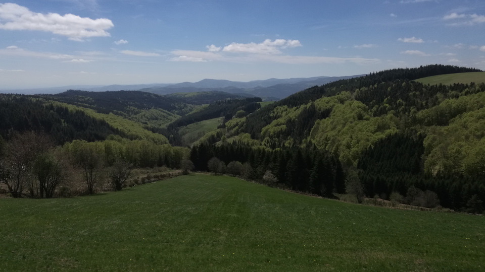 Салатовых красок стало больше. Такой прогресс за неделю. — Audi A4 (B9)