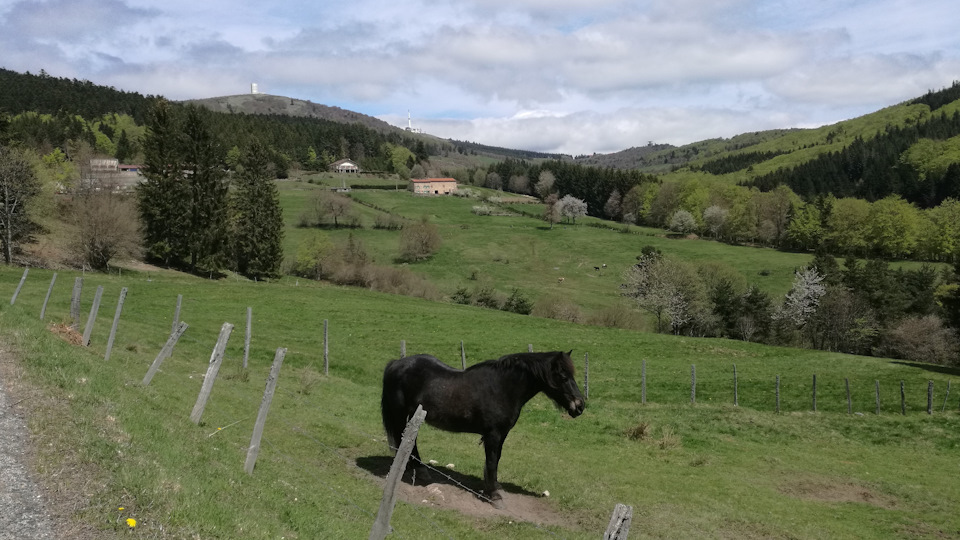 Наконец-то виден финиш. Хотя до него – сплошной подъем. — Audi A4 (B9)